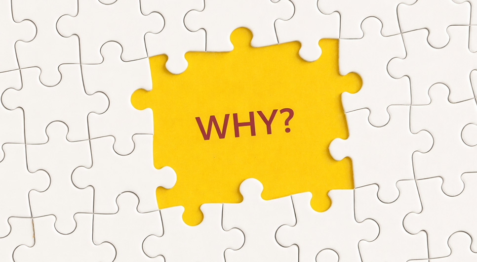 Find the “why” behind the trends Find the “why” behind the trends